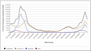 Emergency department visits for viral respiratory illness in Connecticut