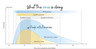 Graph of COVID infectiousness 