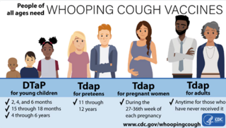 pertussis graphic