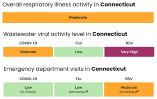 respiratory illness ct