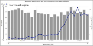 norovirus northeast